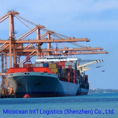 Услуги морских перевозок FCL/LCL из Китая в Анголу